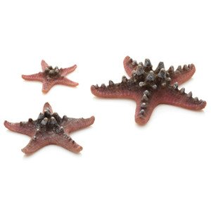biOrb Seesterne Sets - Pink